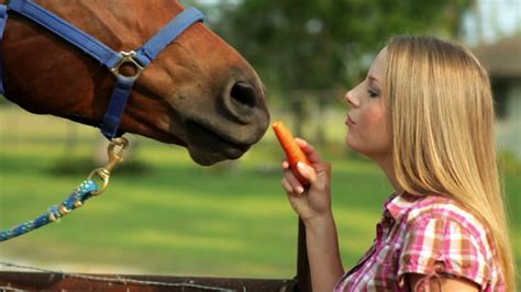 teen fucked by horse|Girl Mounted By Horse stock videos and footage